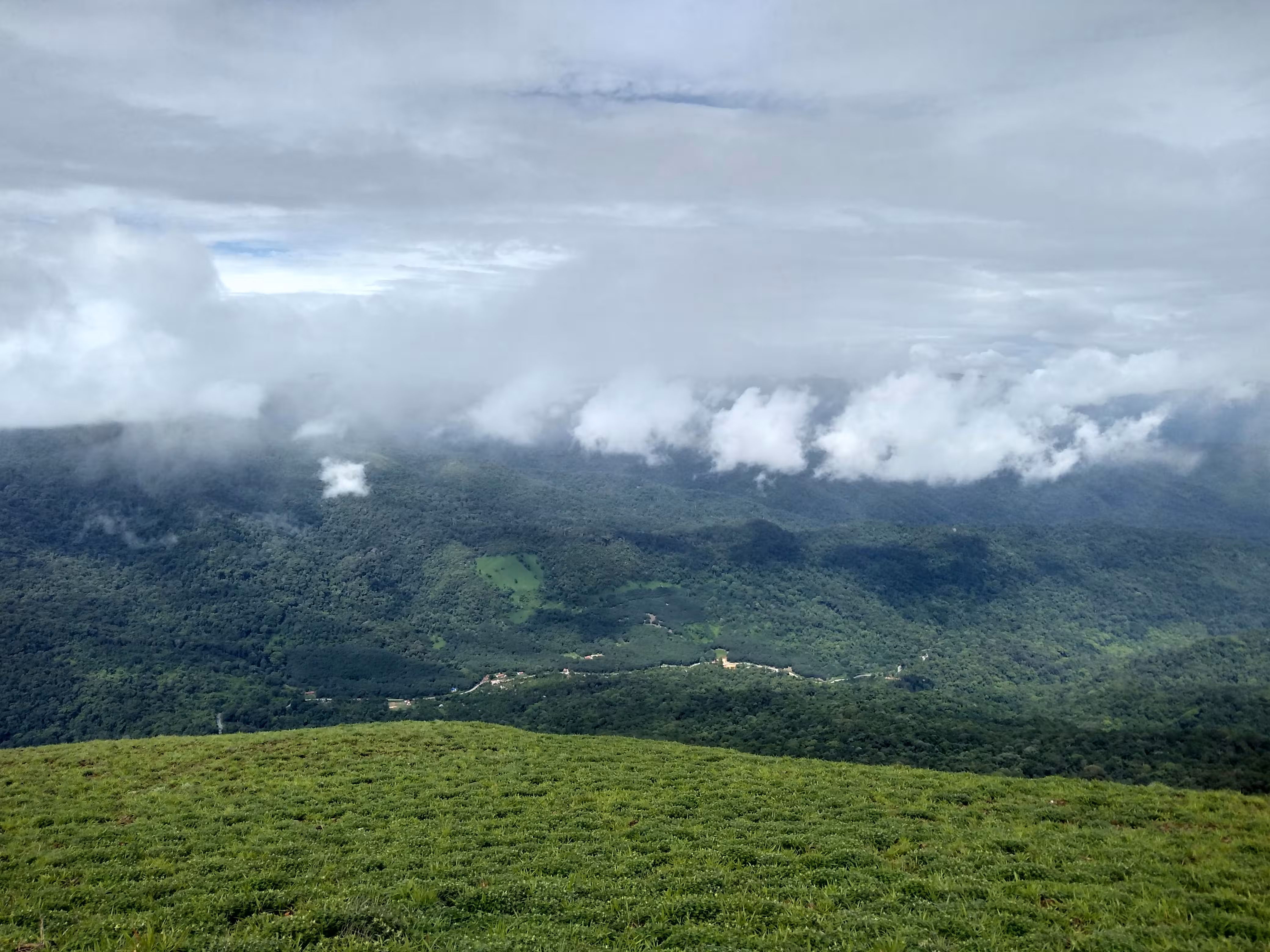 Coffee Country Retreat in Coorg, Karnataka - Travel package view 1