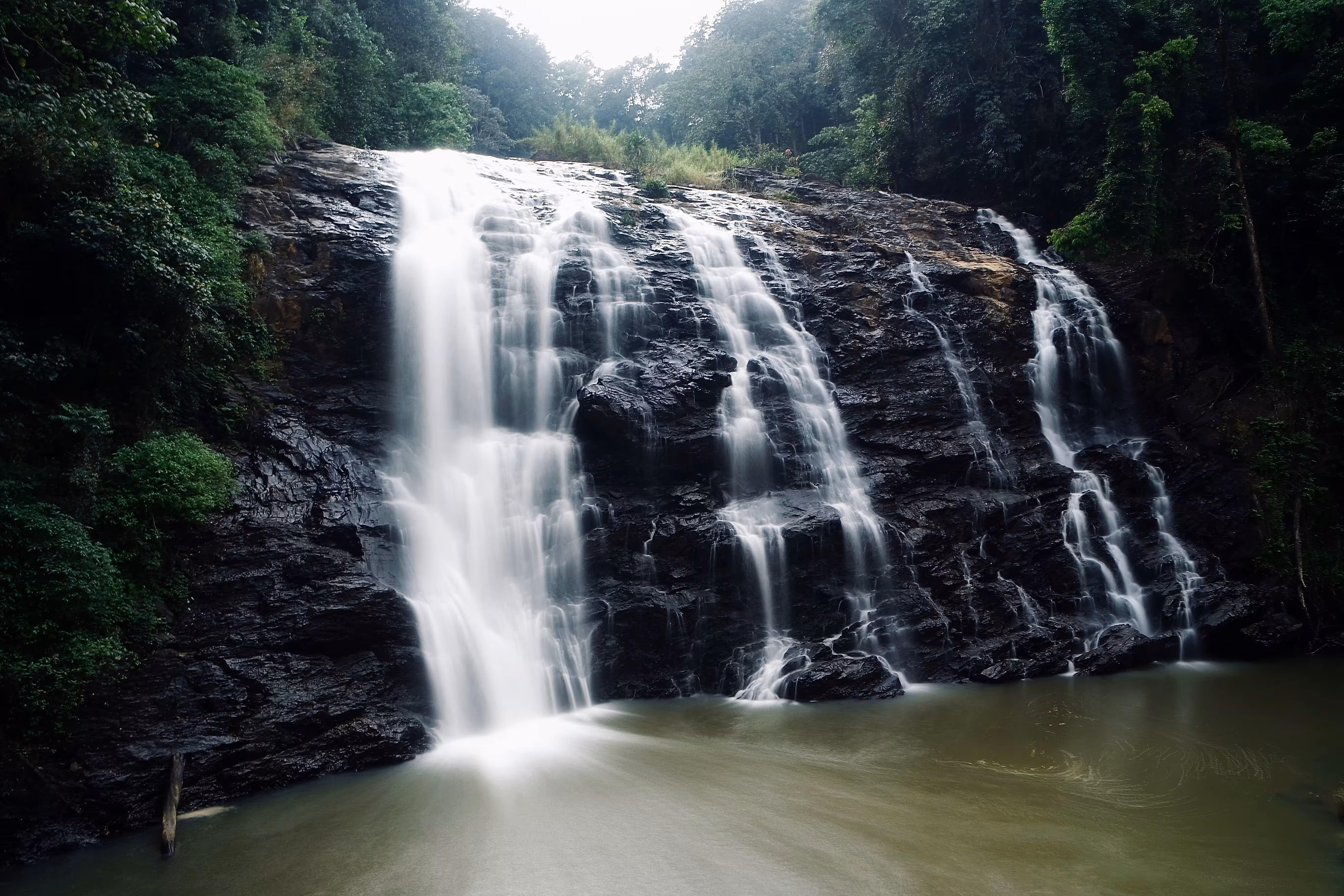 Southern Splendors Grand Circuit in Coorg, Wayanad, Ooty & Mysore, India - Travel package view 1