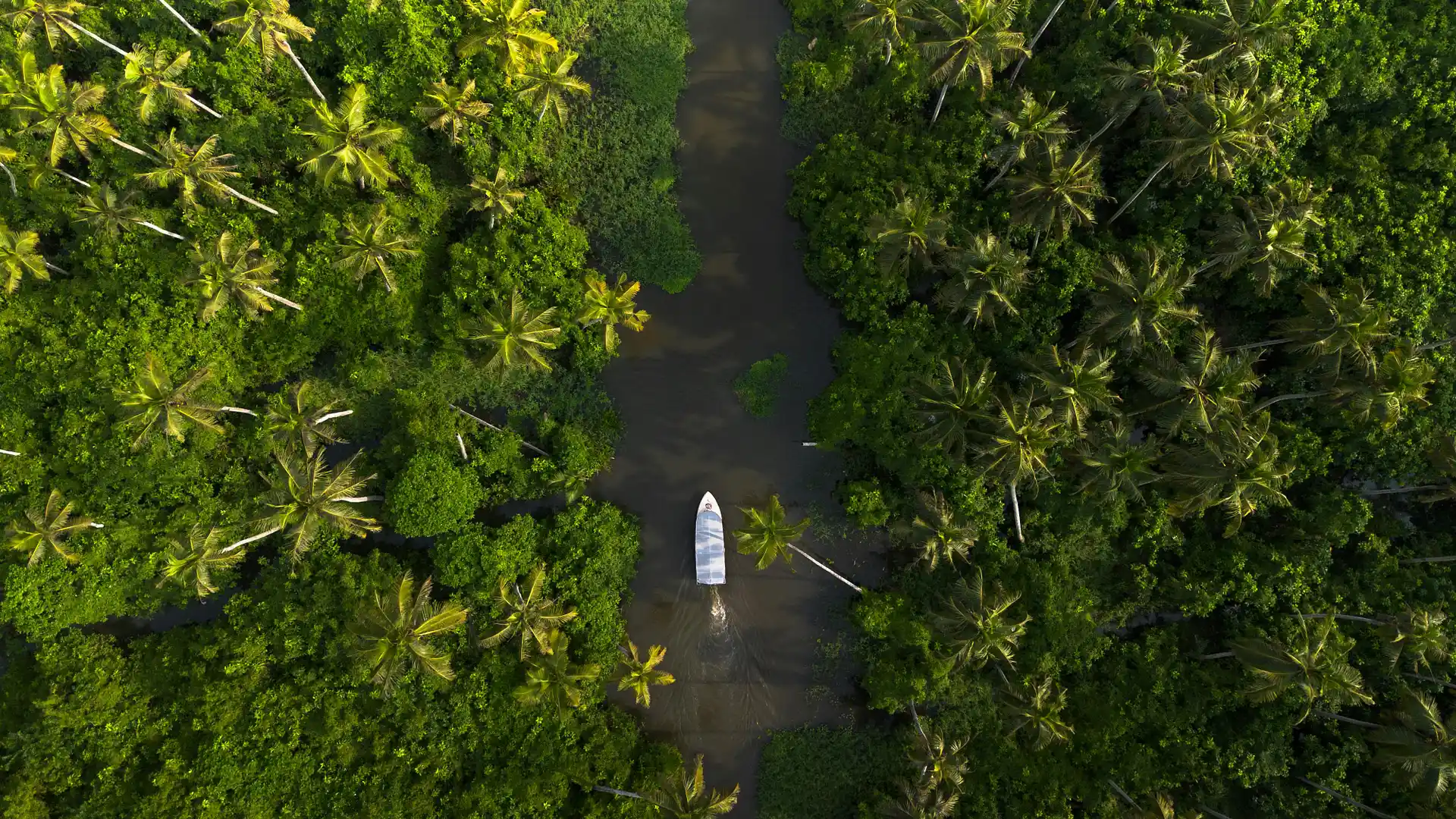 Majestic Malabar Experience in Kerala, India - Travel package view 1
